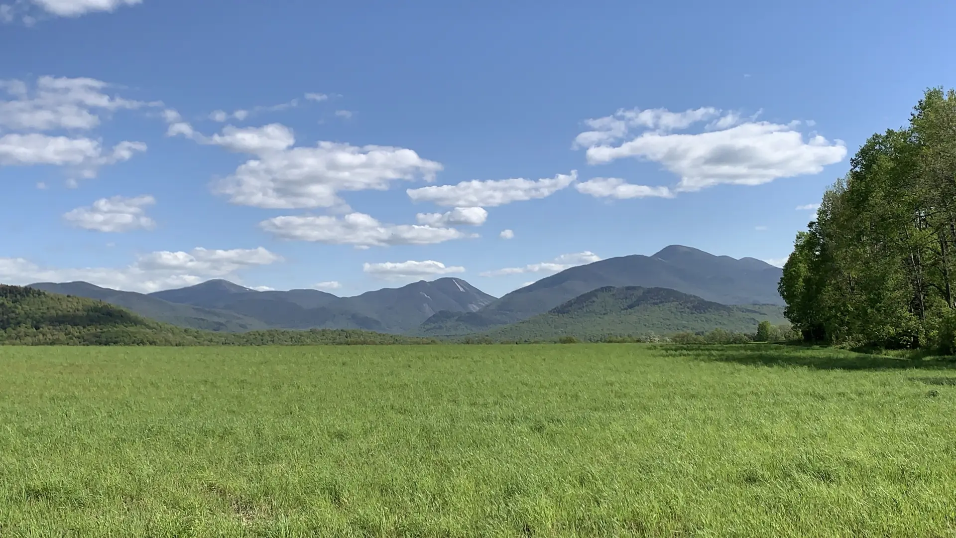 Mountain meadow with high peaks backdrop