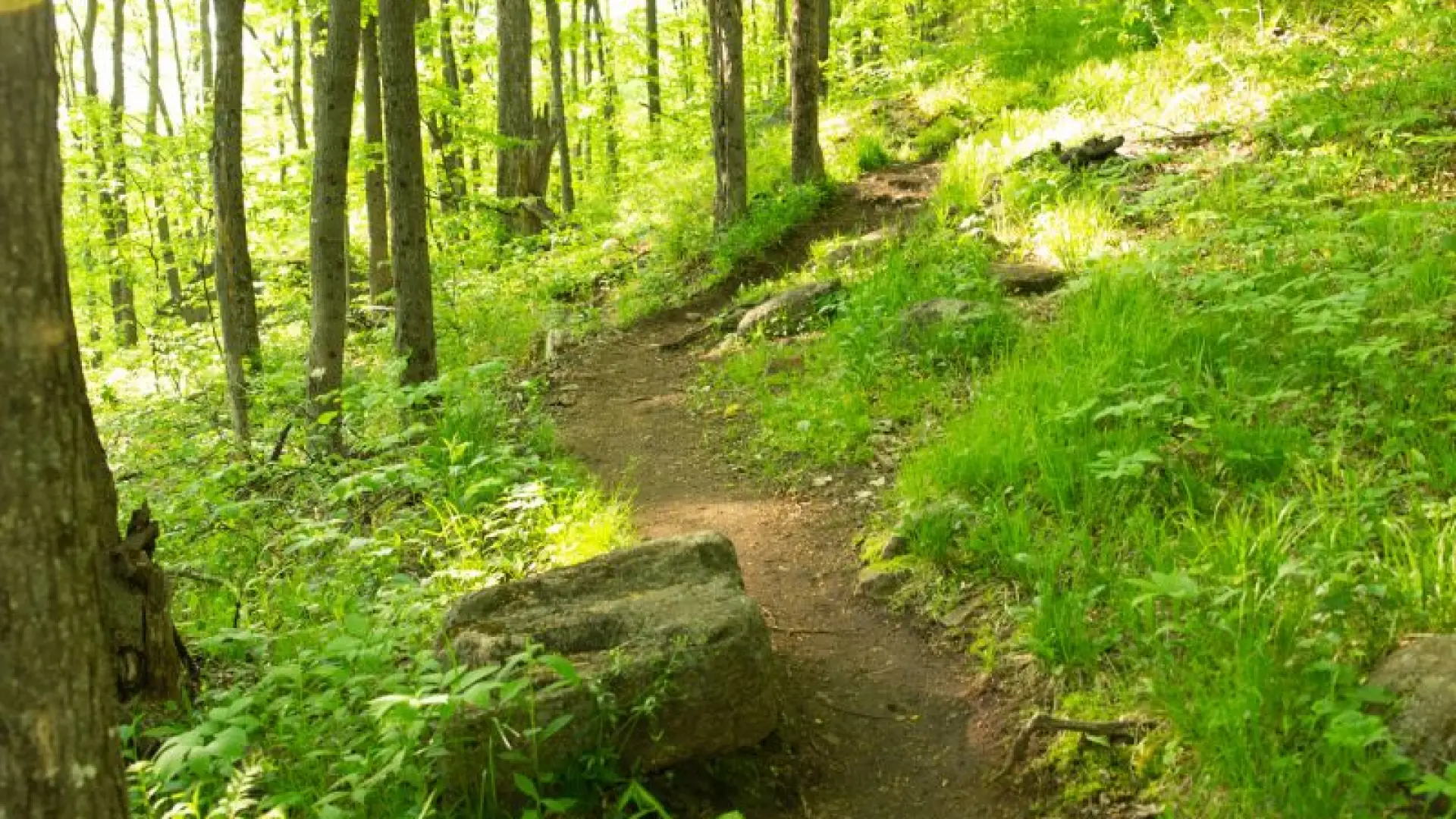 Always stick to the trail to keep the environment safe. Even if it's muddy.