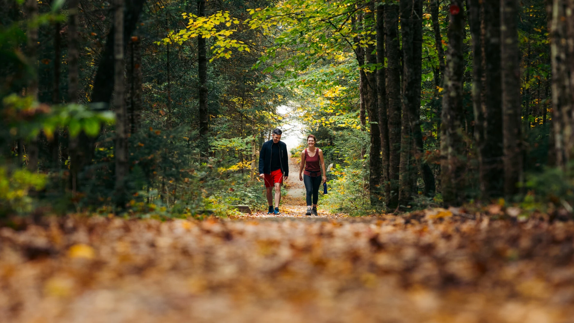 Couple hikes on leaf-littered trail under canopy of green and yellow leaves