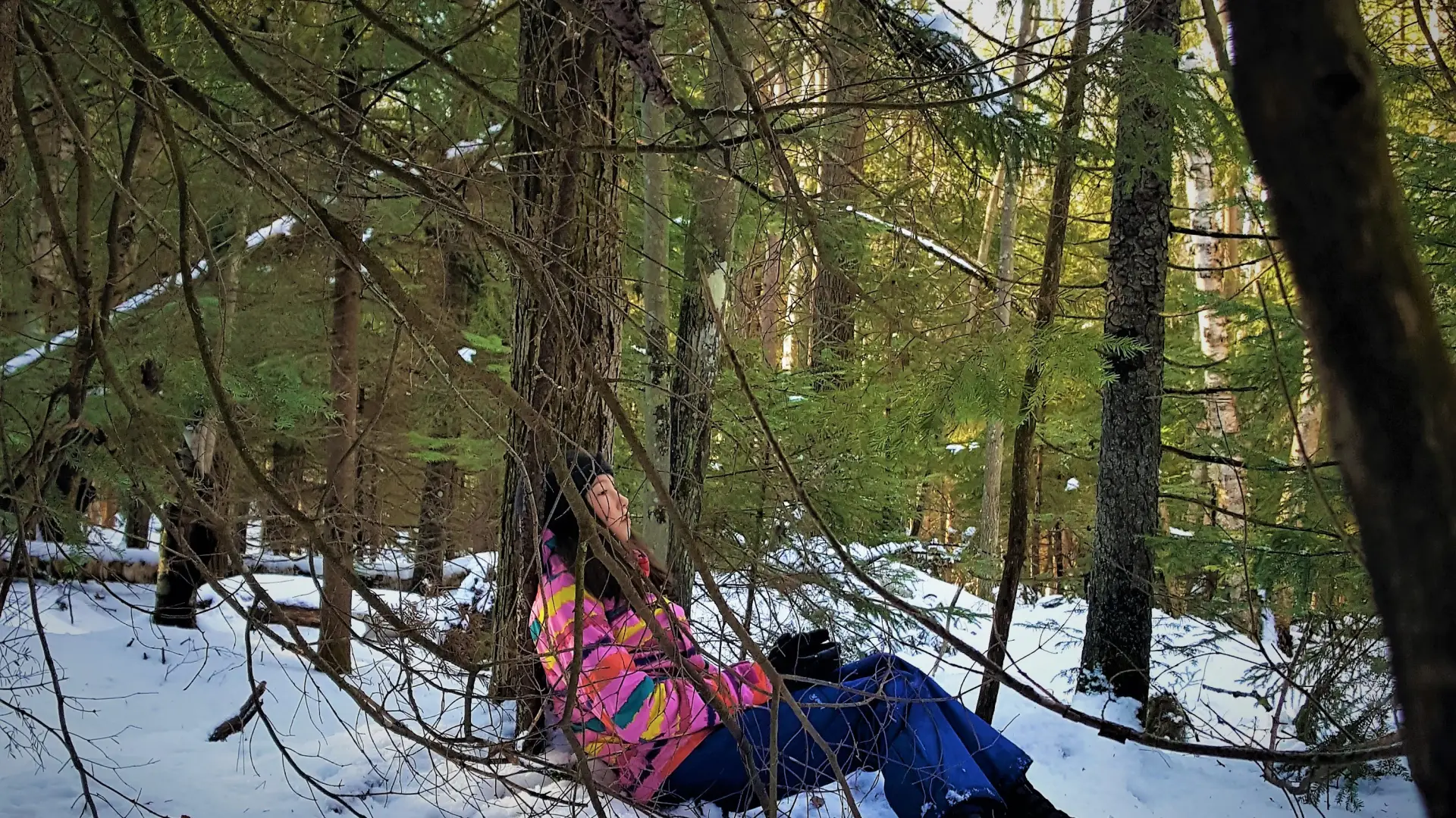 A girl sits on a bed of pine branches on top of the snow looking at the trees above.
