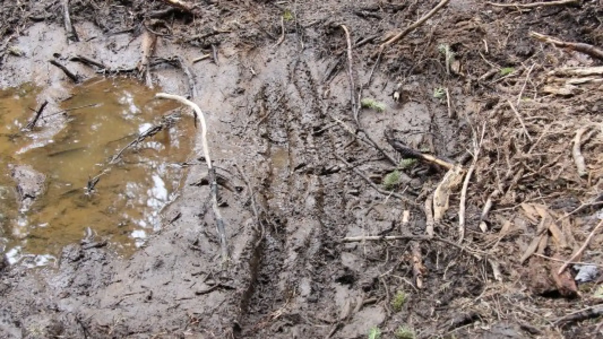 Trails that look like this should be avoided