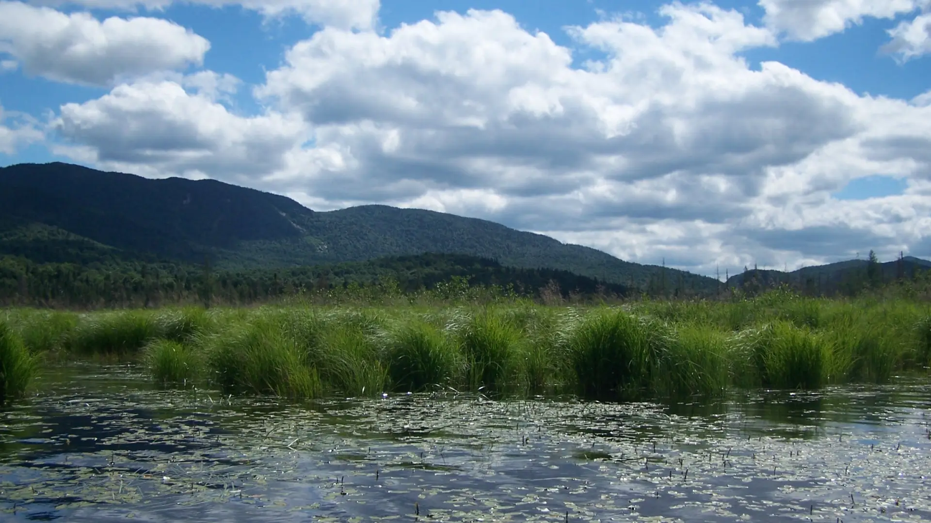 There's fine trout fishing on Upper Chubb River.