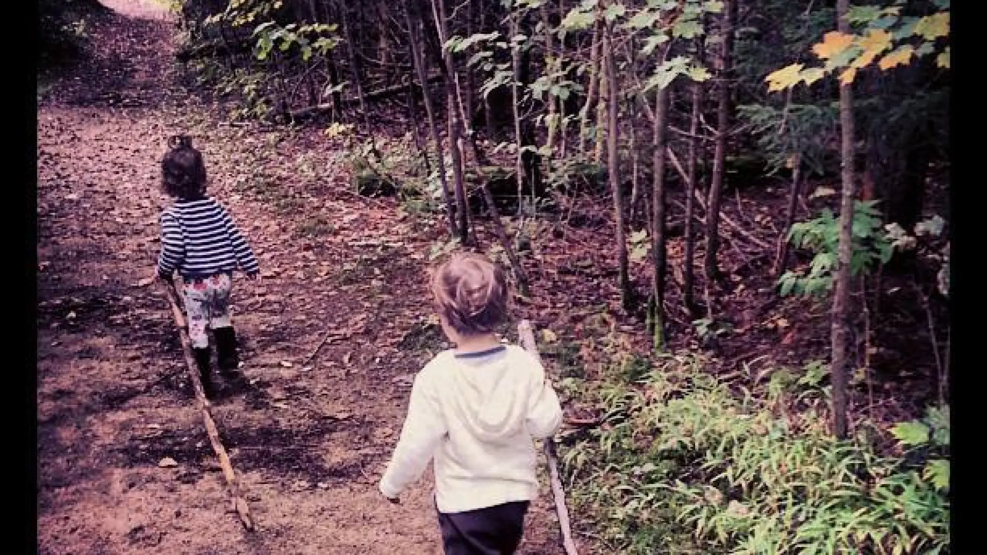 Hiking toddlers