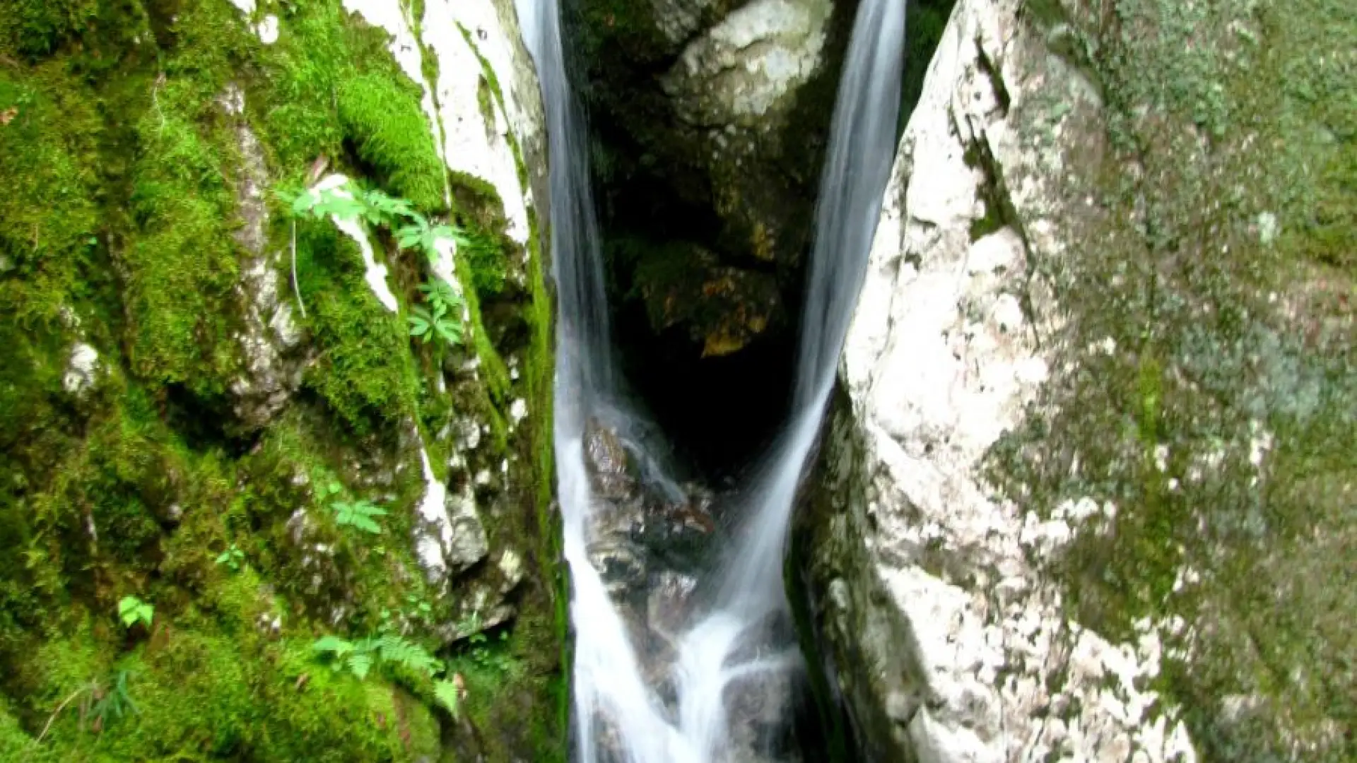 The Flume has a tropical feel in the summer.