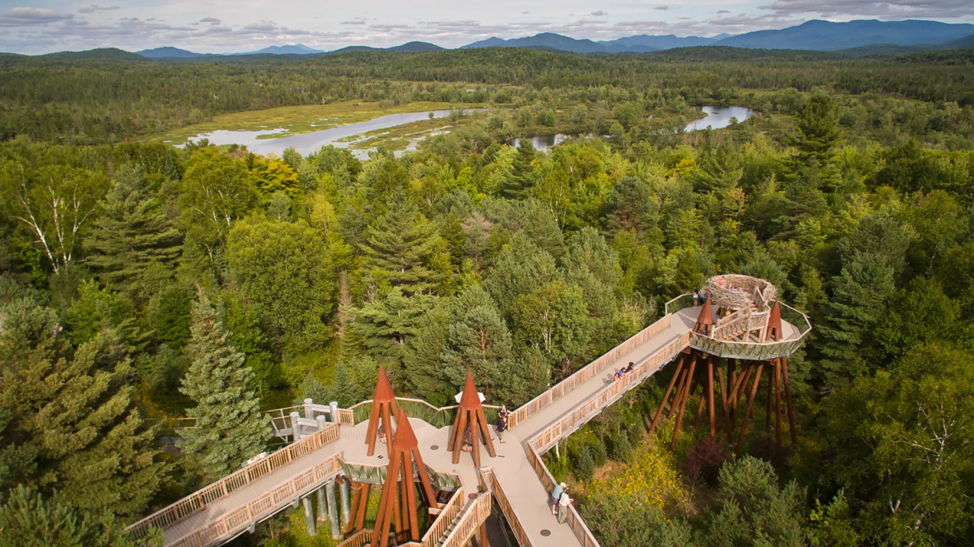Aerial view of the portion of The Wild Walk, where people walk along the treetops of the Adirondack forest