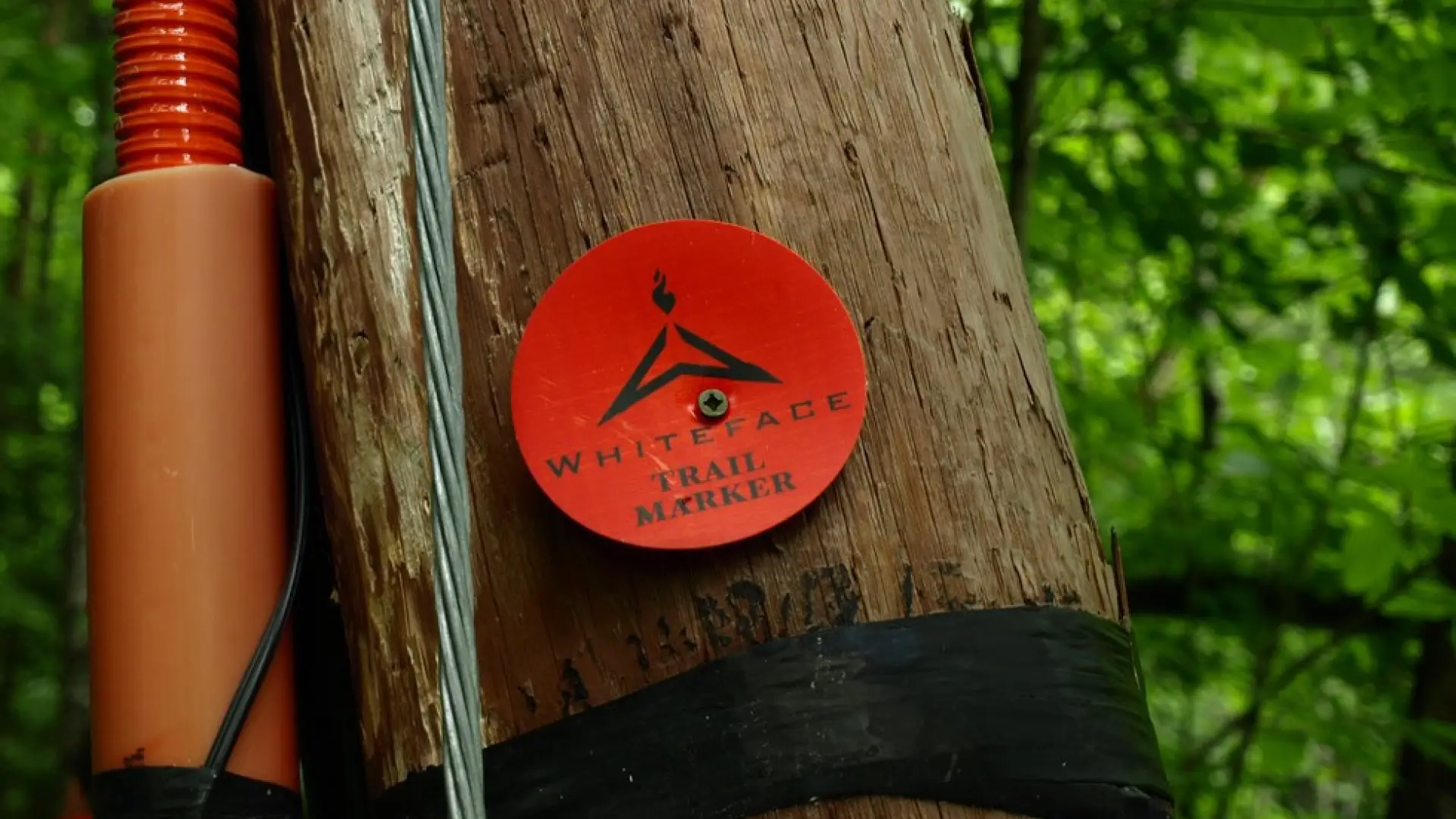 A red trailmarker