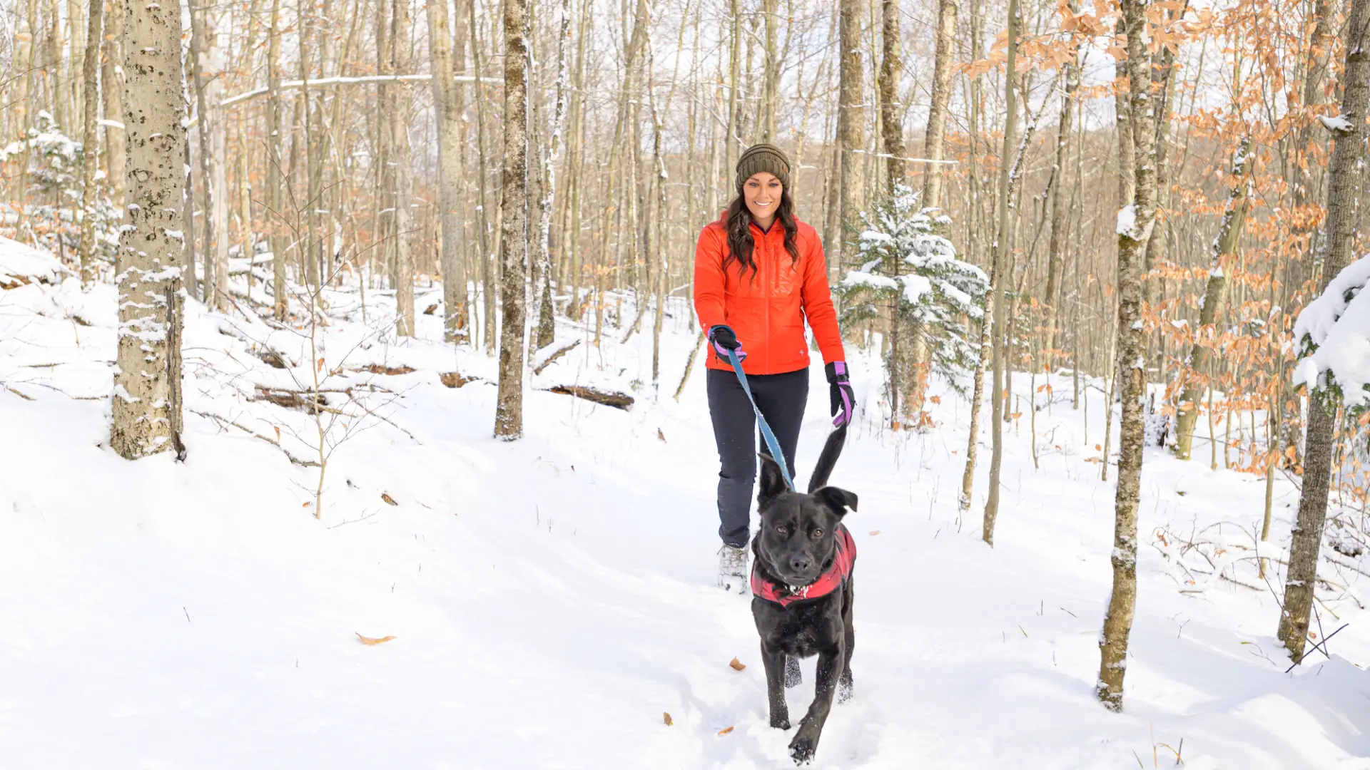 A woman hiking with her dog in the snow.