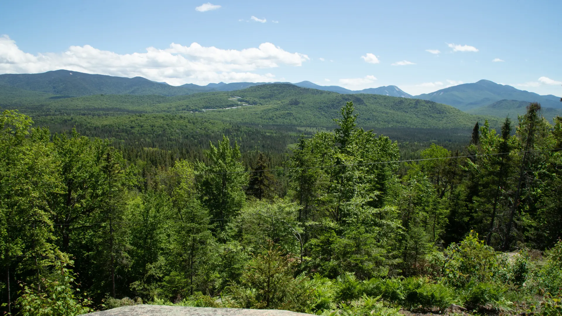 A landscape view from a rocky overlook reveals a vast, lush green forest stretching toward a distant range of mountains.