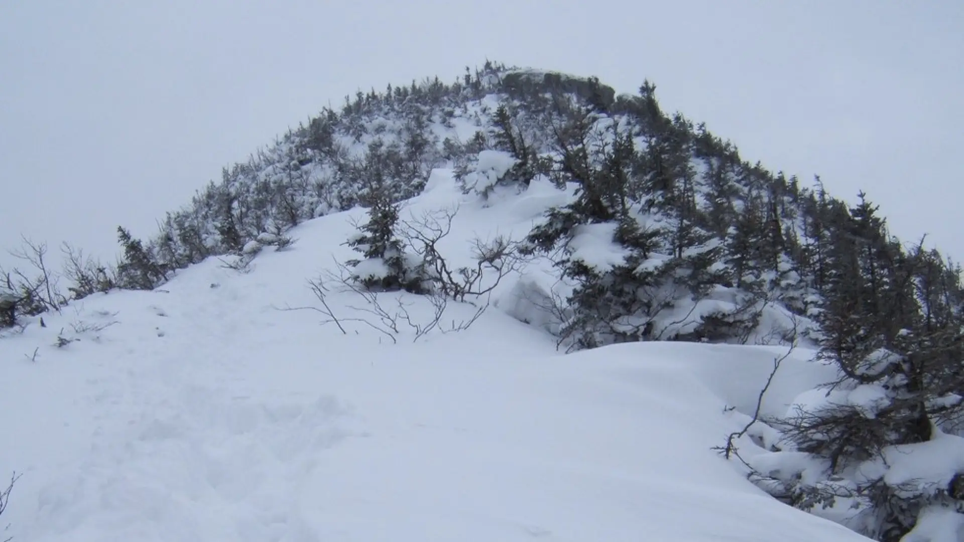 Here's the summit, so close now.