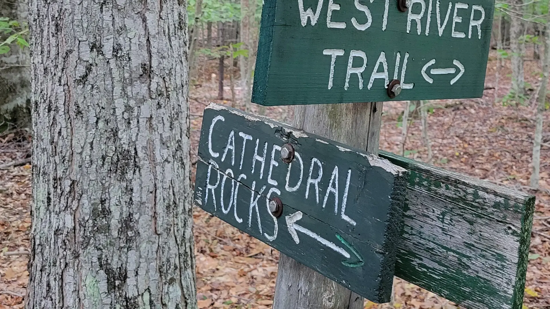 A wooden sign for Cathedral Rocks