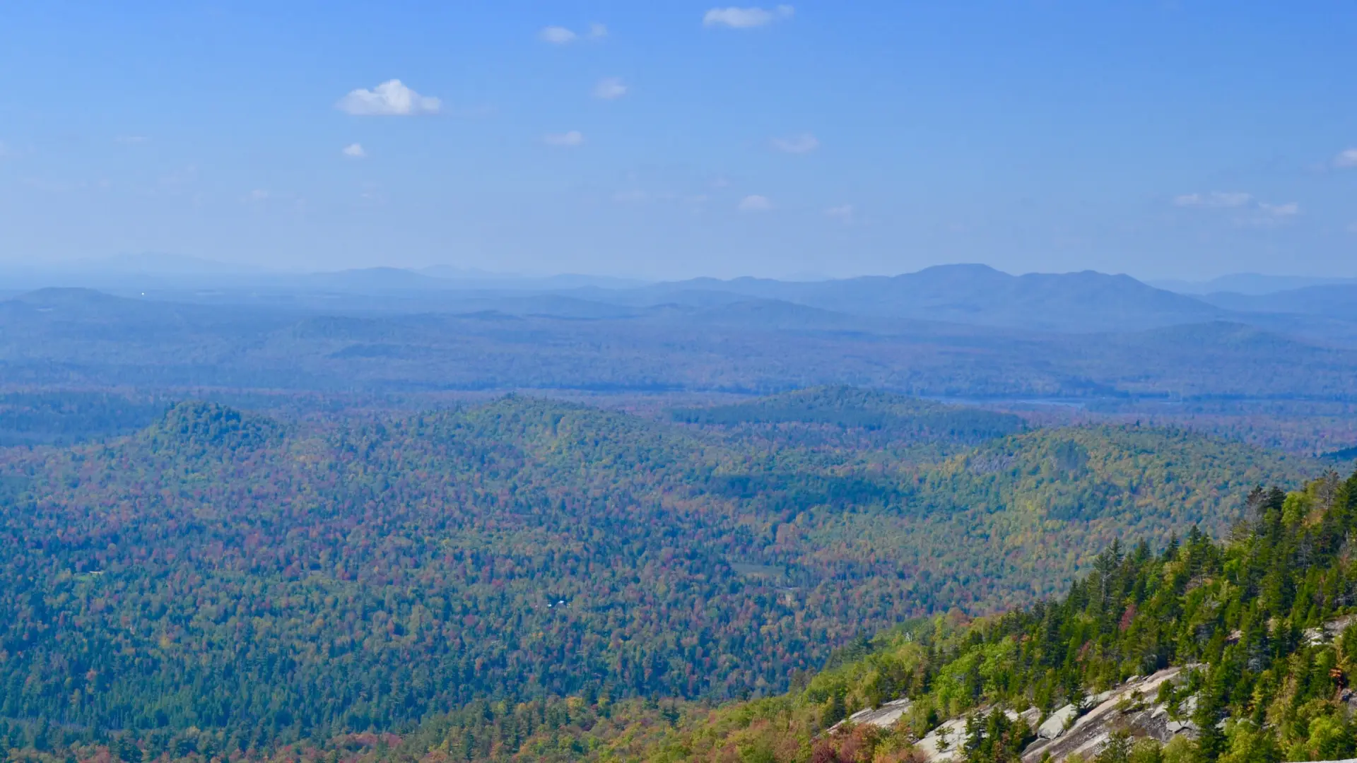 Catamount summit is a great place to see the leaves turning.
