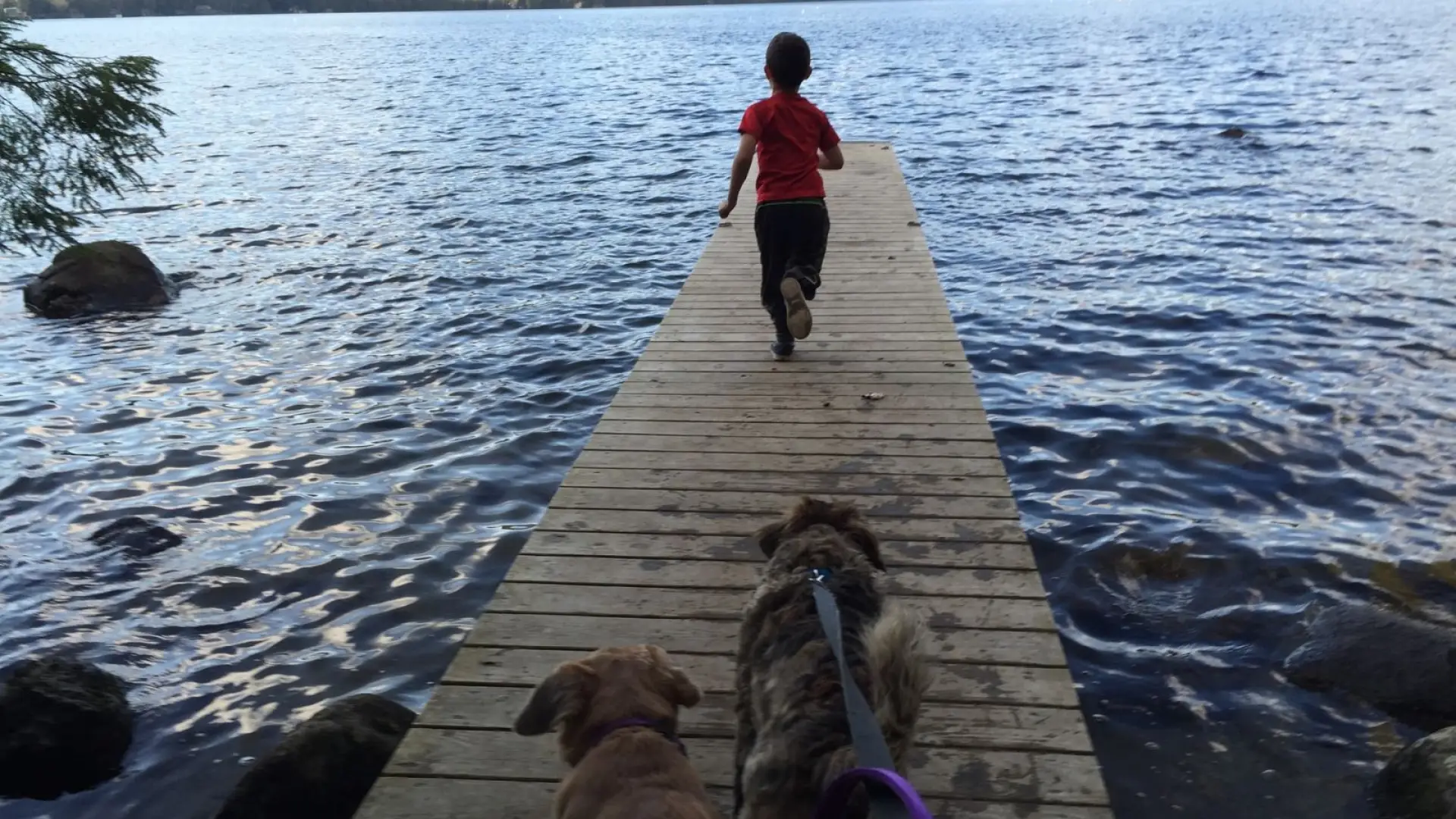 Hike and swim at Peninsula Trails.