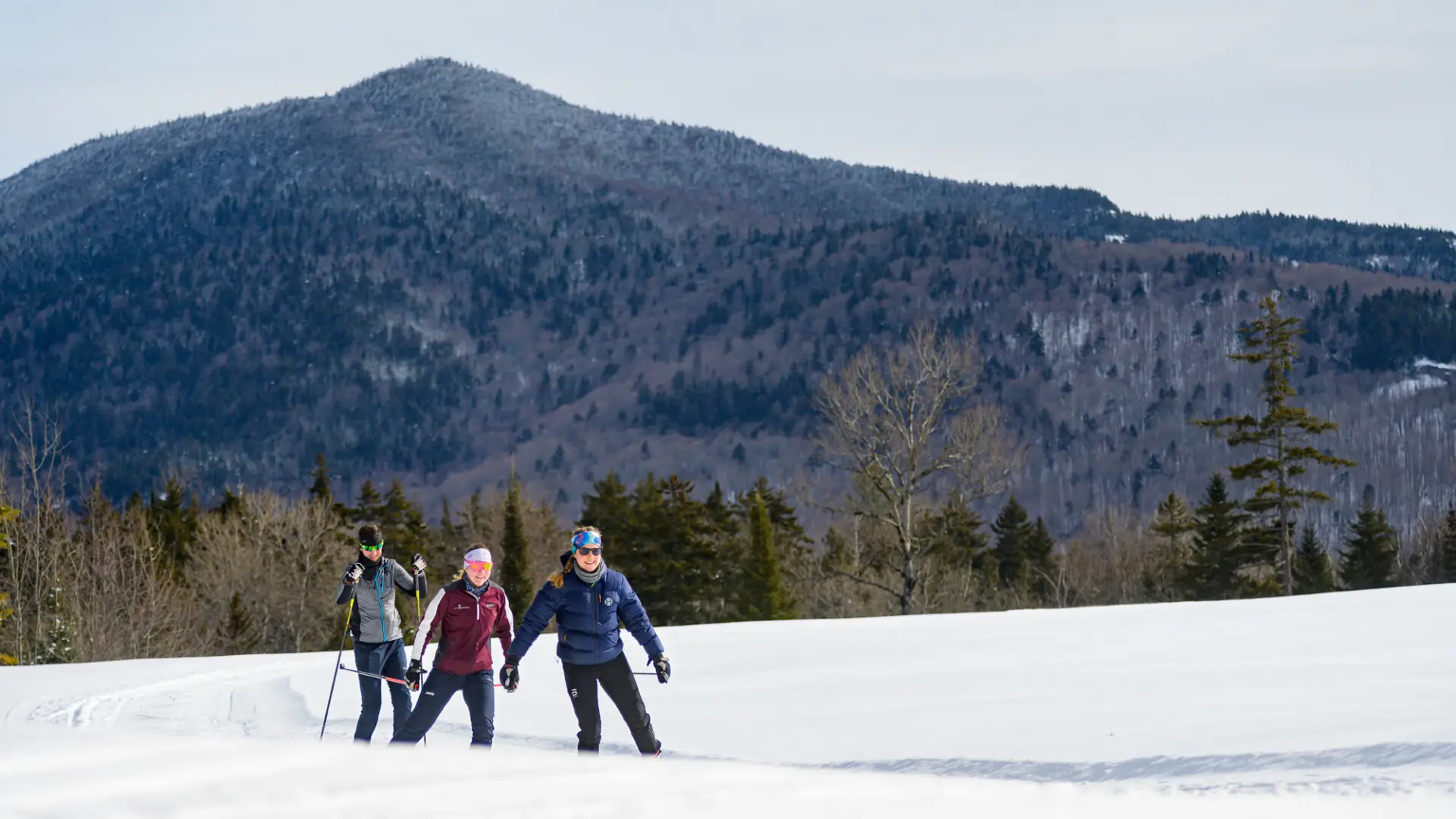 Three cross country skiers on a snowy trail at Mt Van Hoevenberg Ski Center