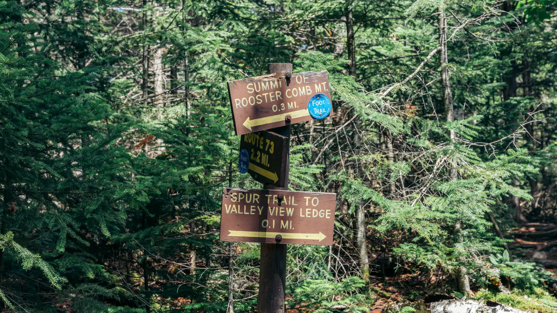 Brown and yellow trail signs at junction