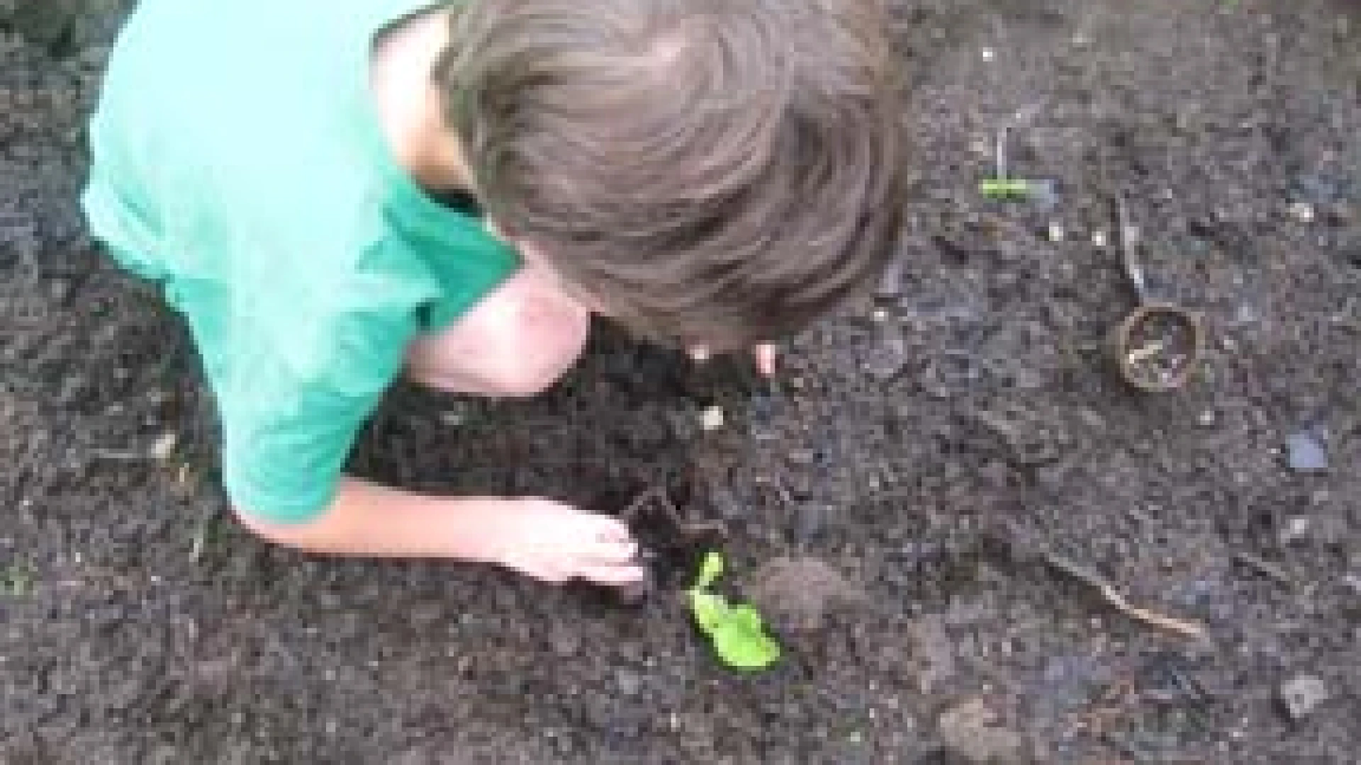 Gardening with Kids