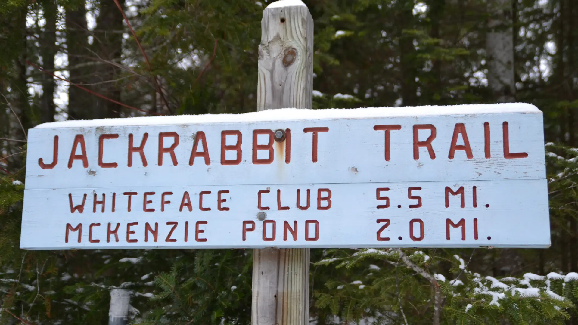 Jackrabbit Trail Sign, near Lake Placid.