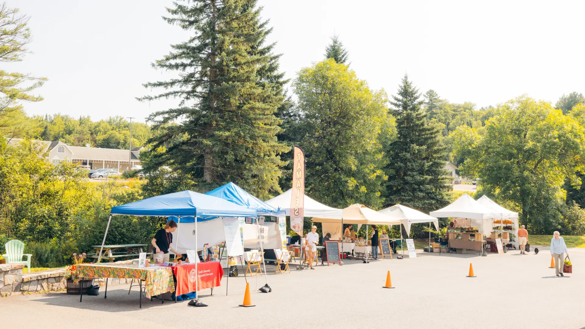 A Lake Placid farmers market in the summer with a crowd of people and local merchants.