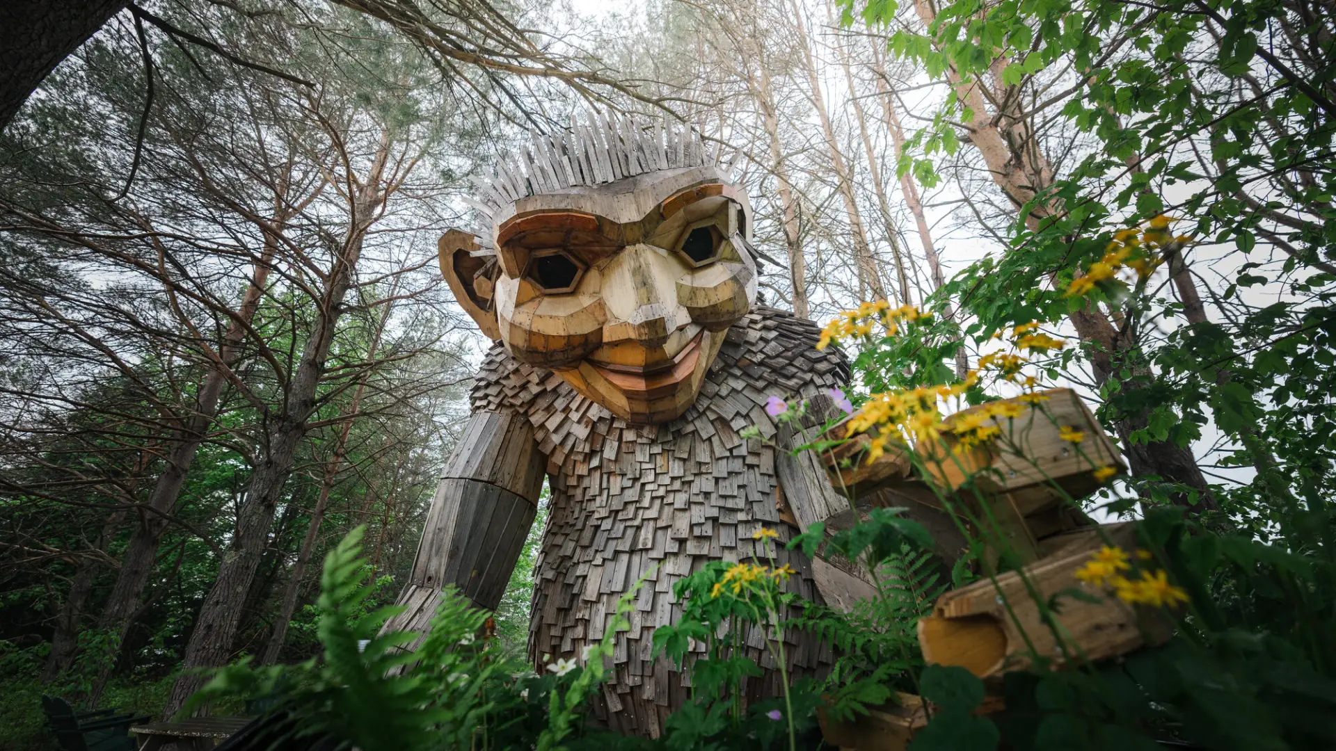 Trolls at the Wild Center