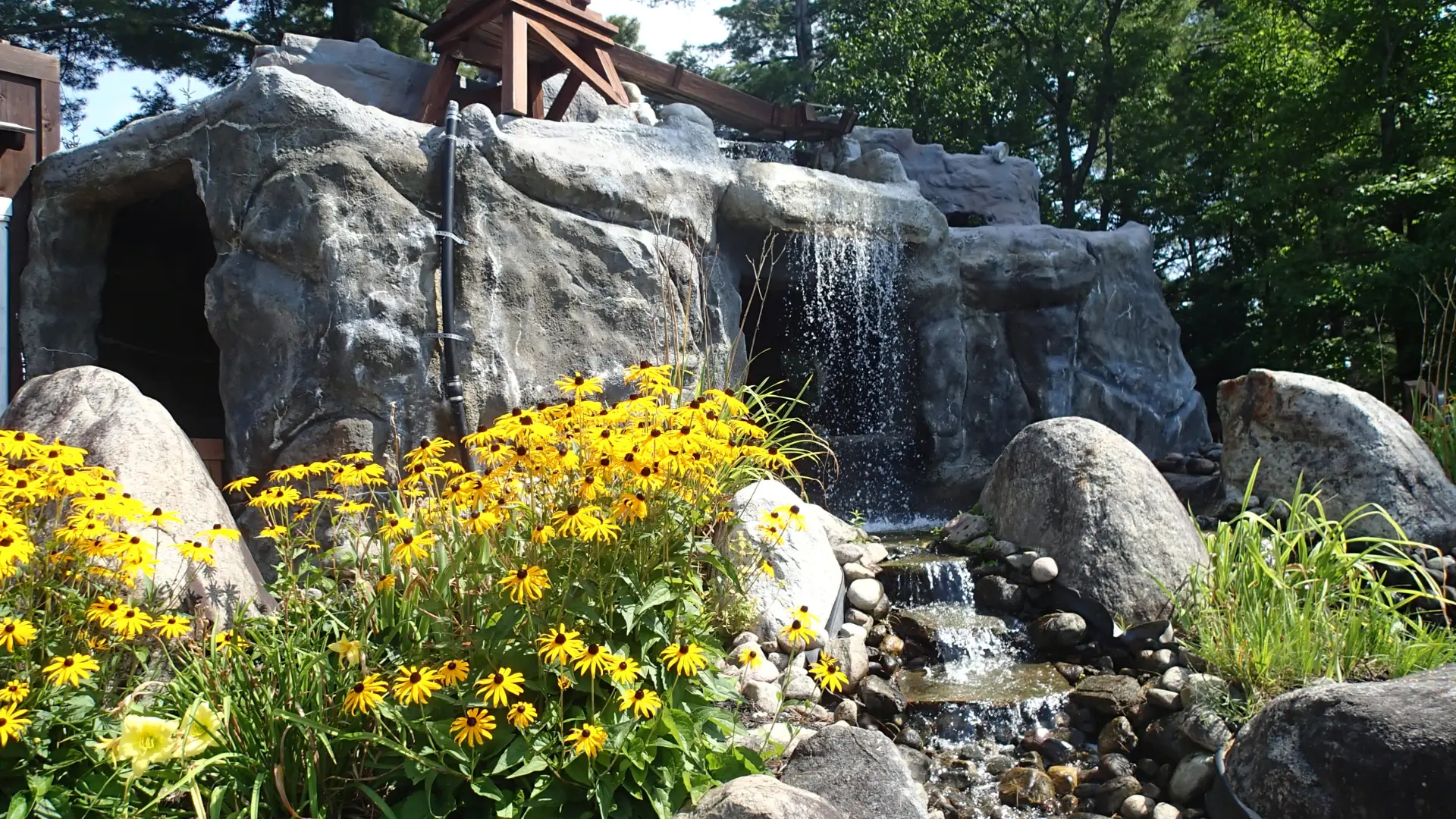Black-eyed susan flowers in front of a rocky waterfall feature on a mini golf course.