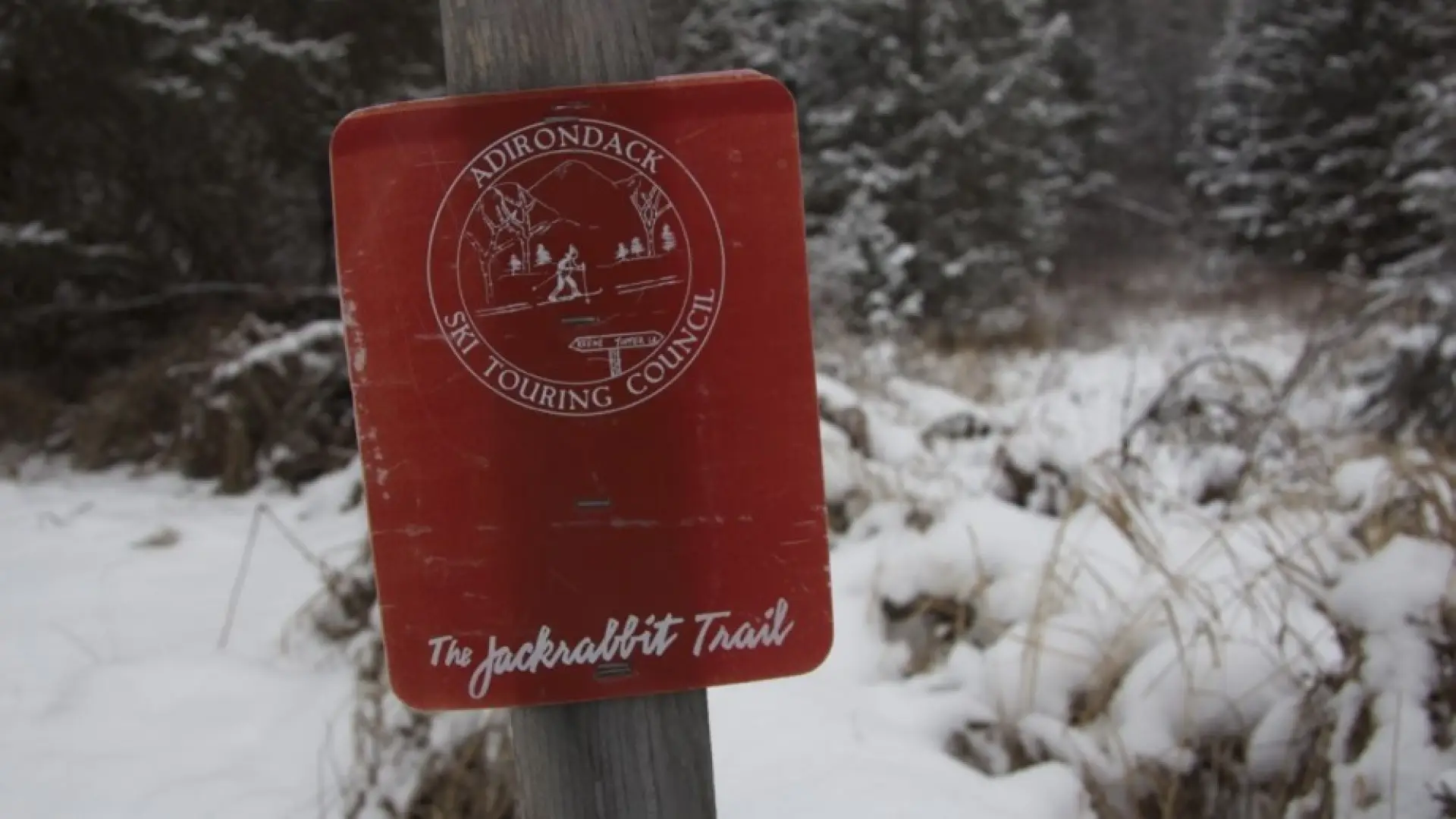 These red signs will help guide your way on any section of the Jackrabbit Trail
