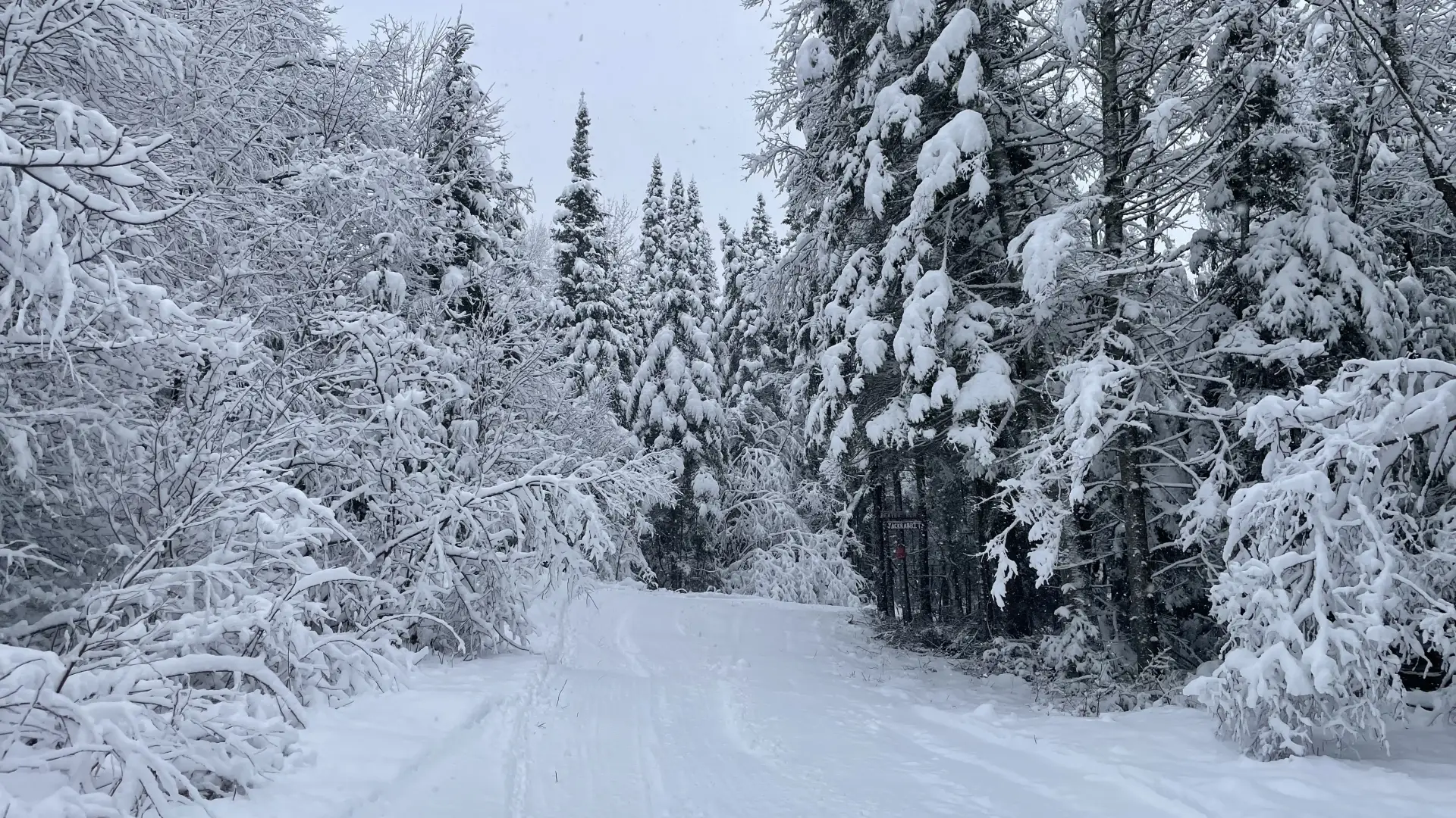 The groomed xc ski trail at Cascade Welcome Center