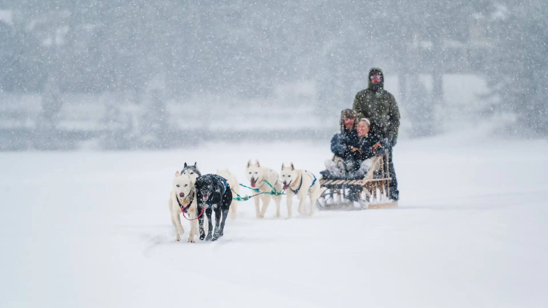 Man and woman ride in dog sled on frozen lake