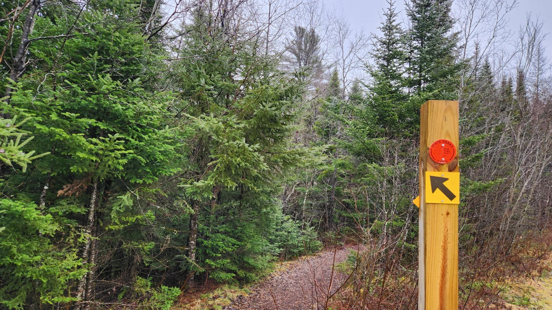 A trail lined with trees and a trail marker at the entrance.