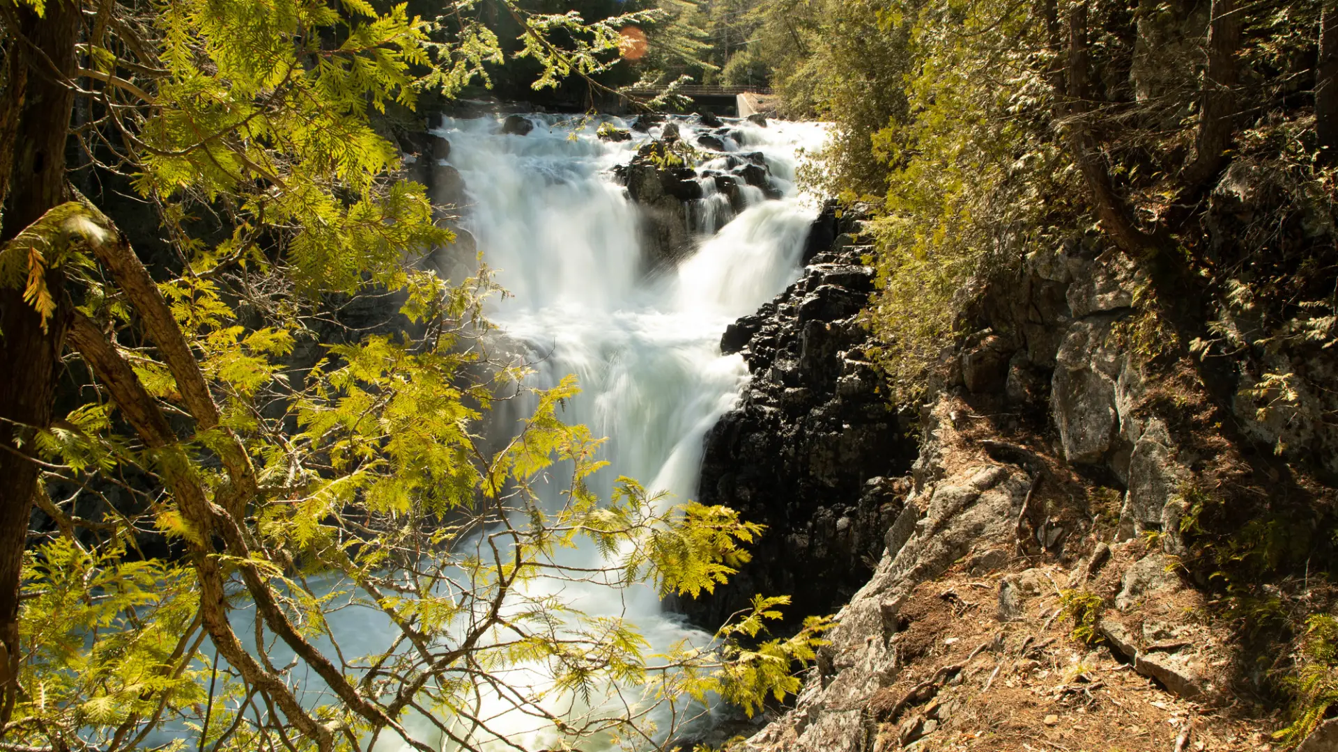 A large waterfall in full sun.