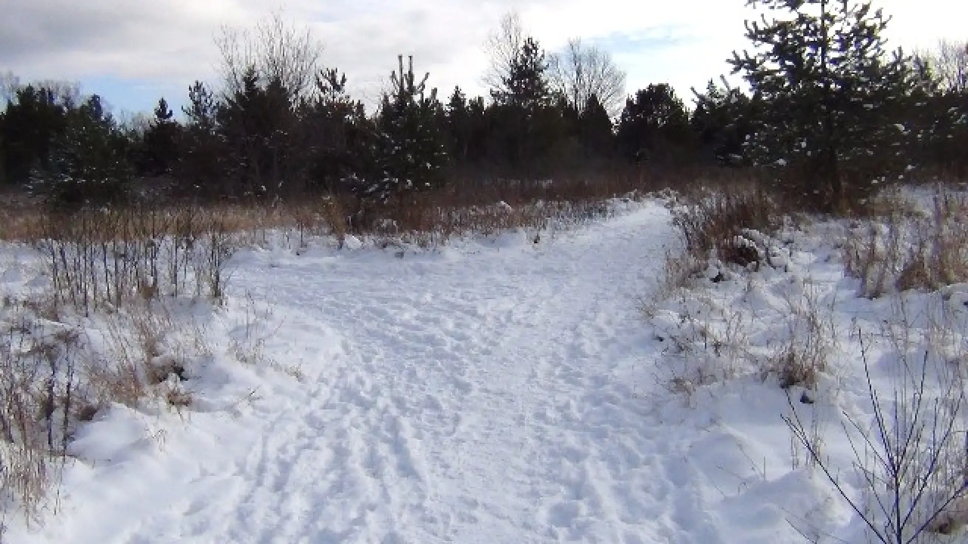 Chose a new path or loop back to the beginning.