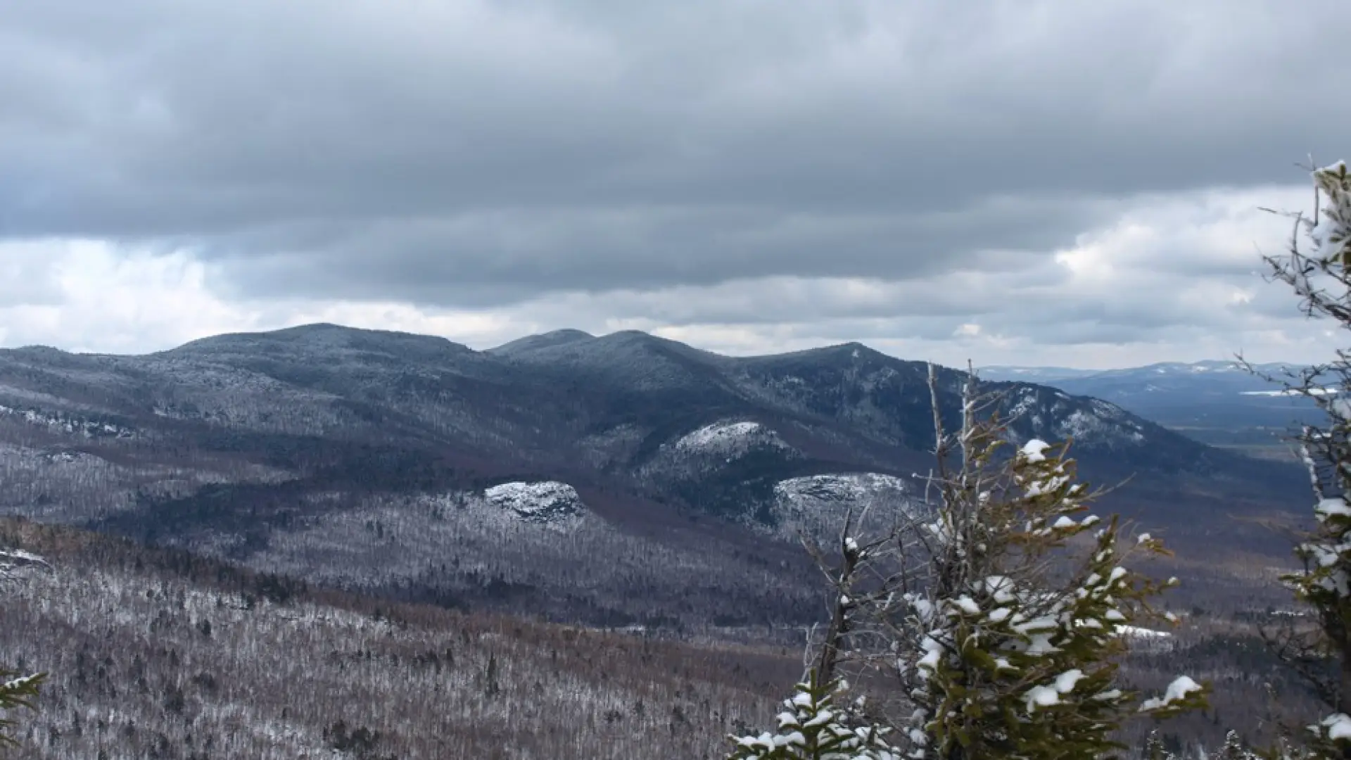 There are views from the wooded summit on Esther Mountain.