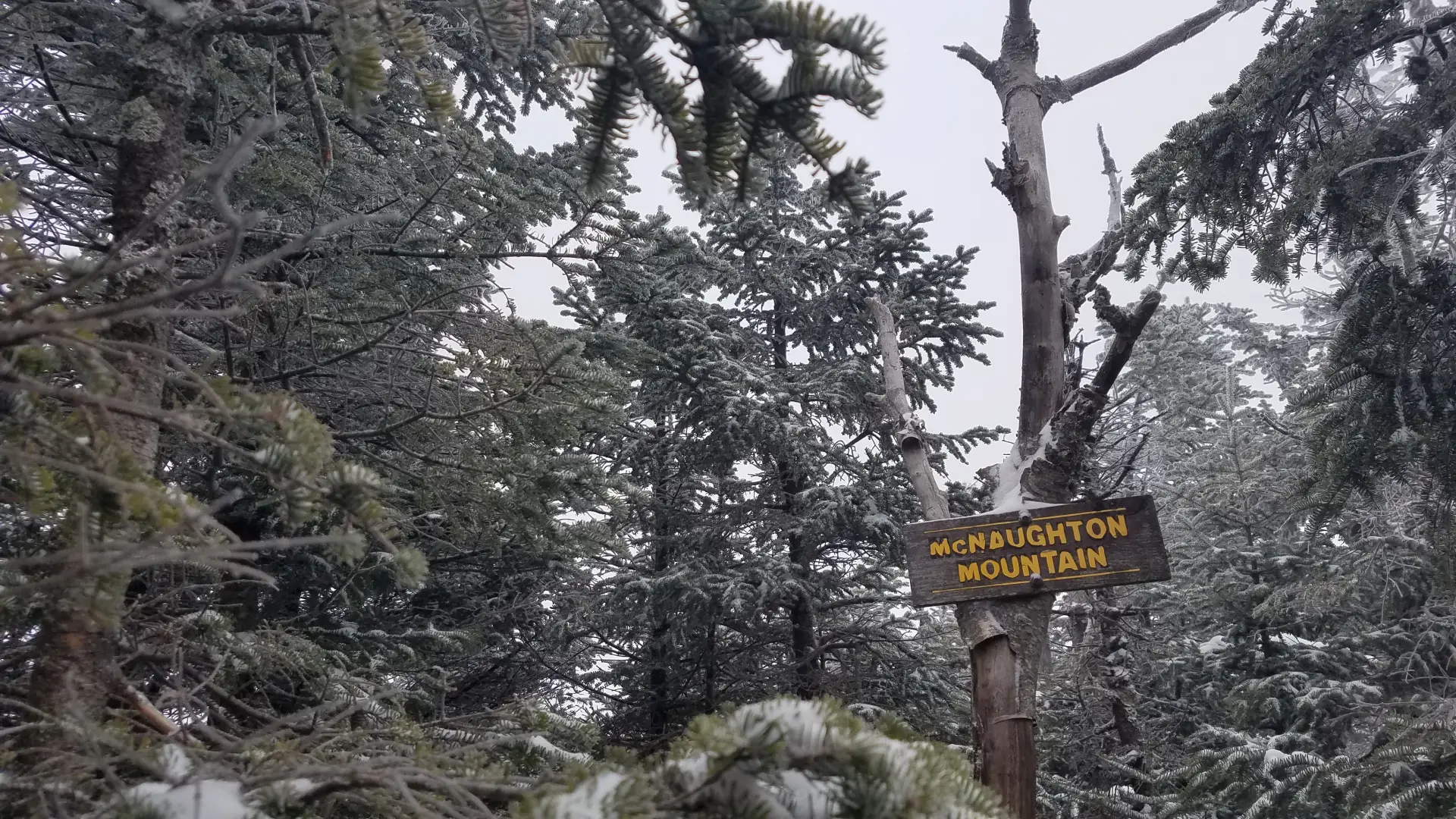 A summit sign for MacNaughton Mountain