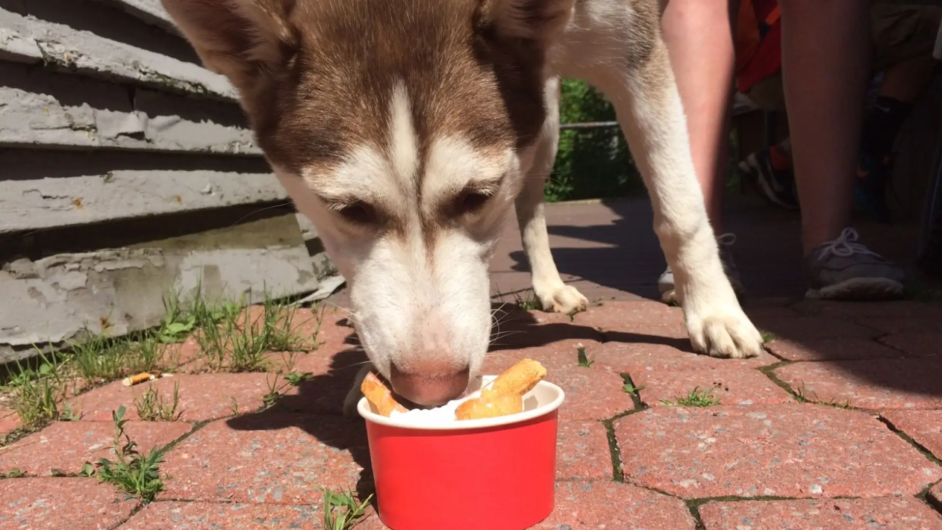 There wasn't a lick of ice cream left.