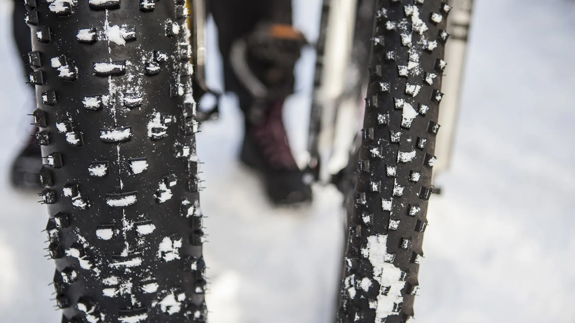 Fat bike and traditional mountain bike tire comparison