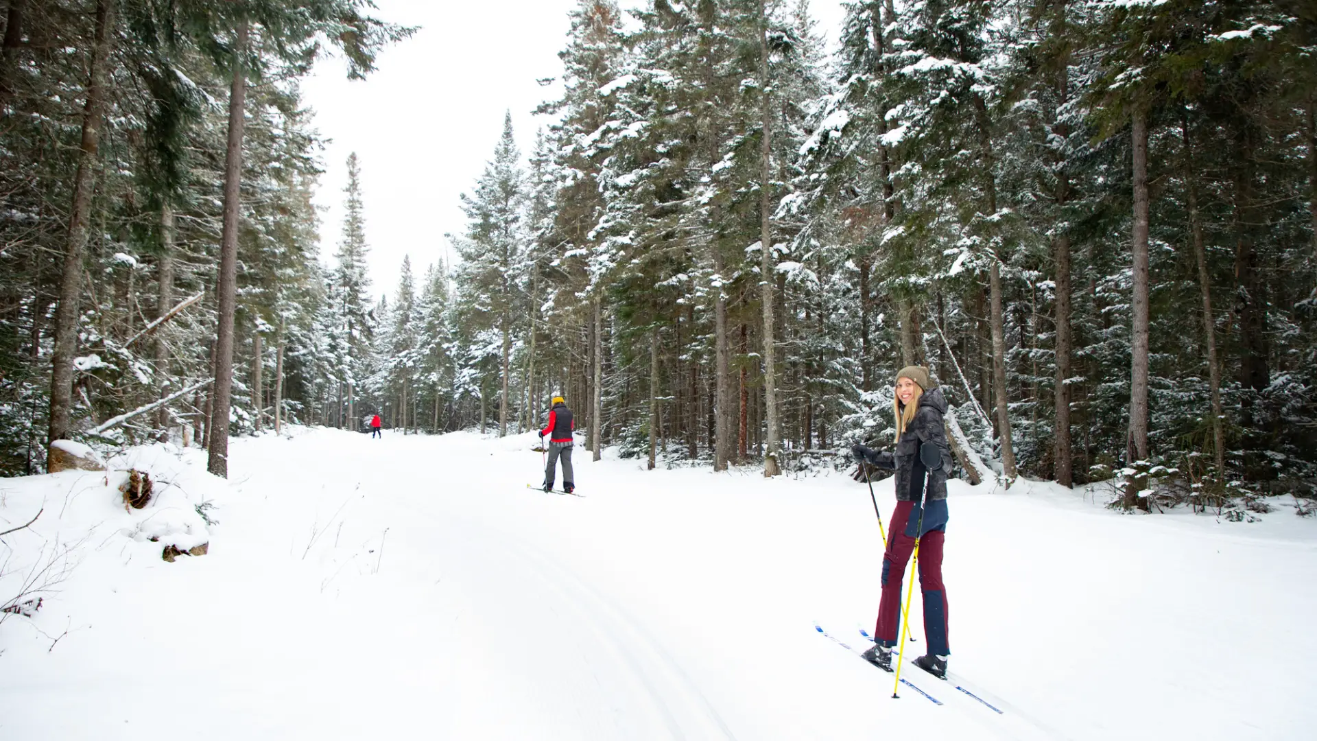 Cross-country skiing at Van Hoevenberg.