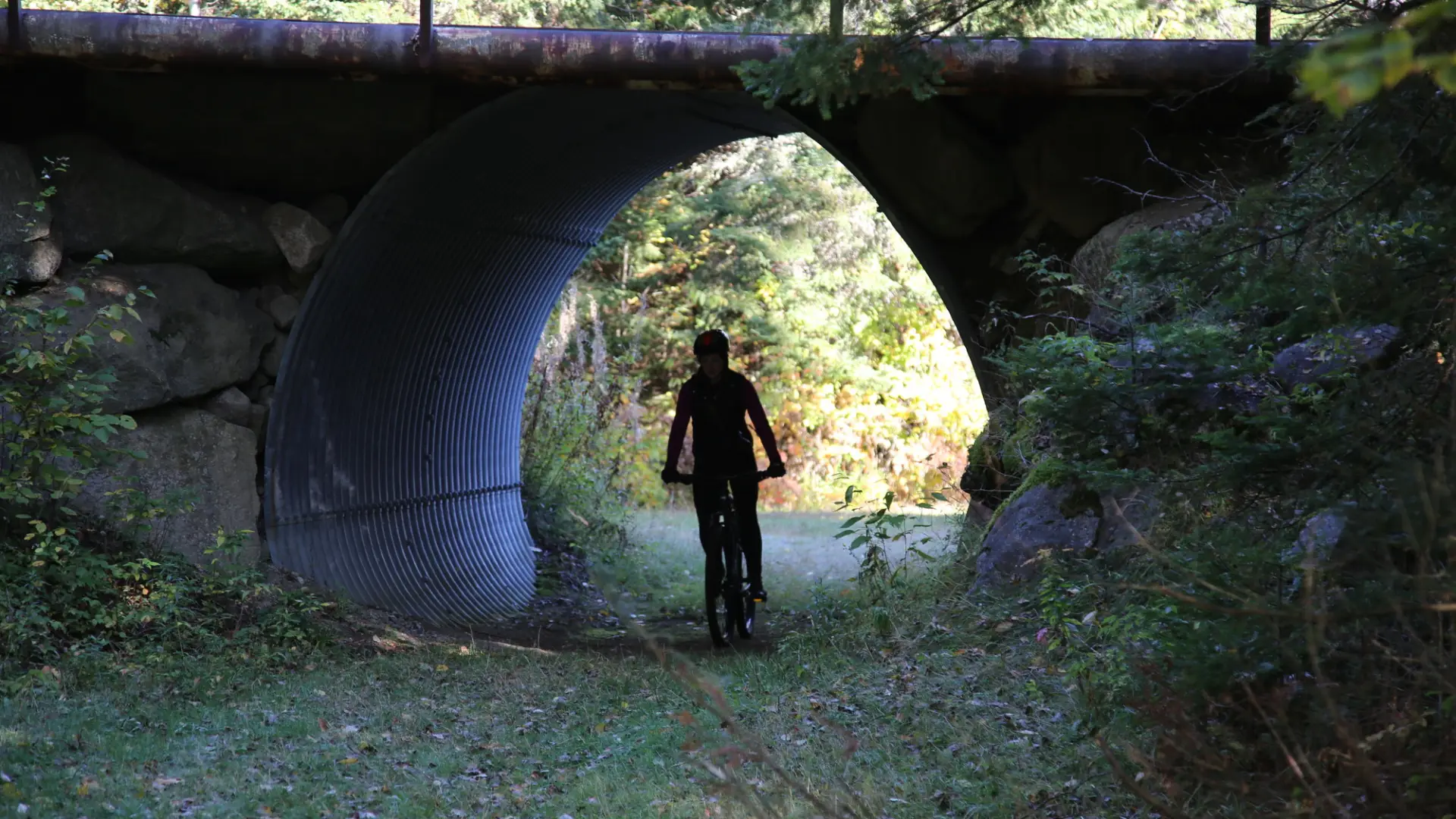 A biker rides under a bridge