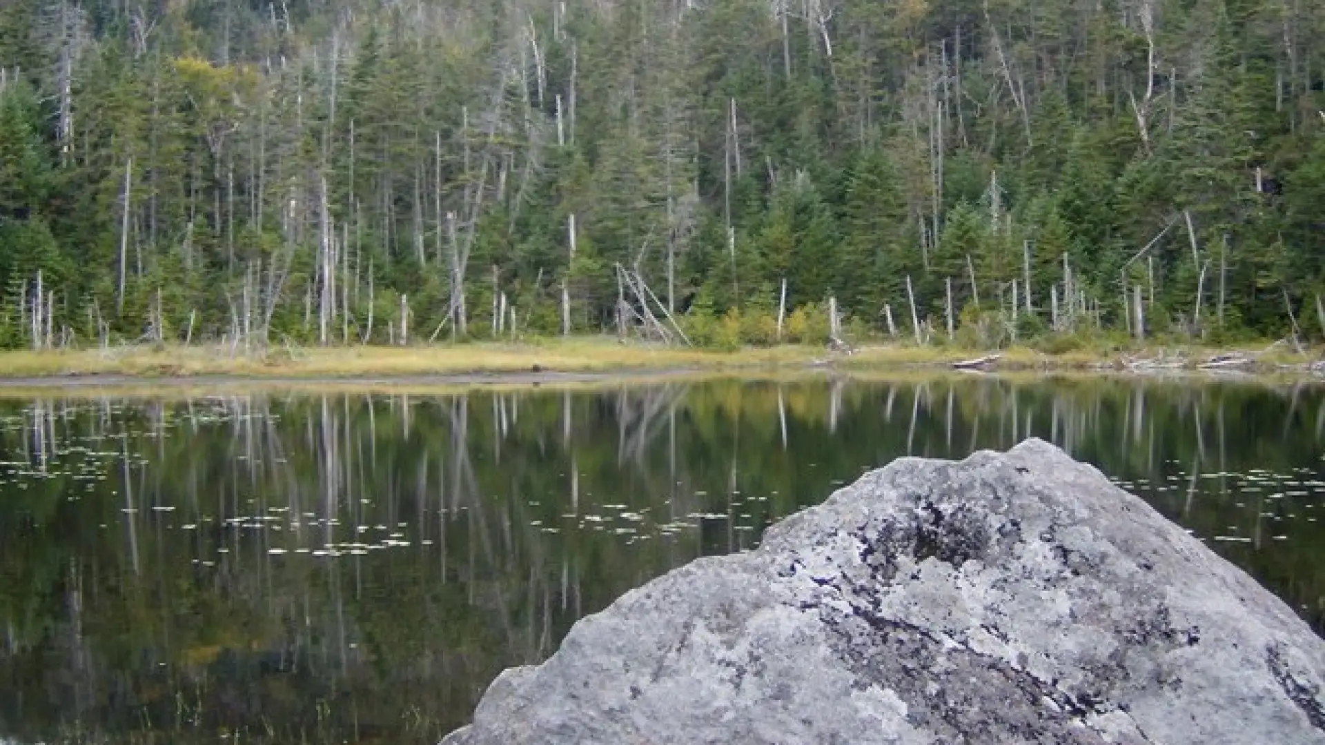 A boulder in a high mountain pond