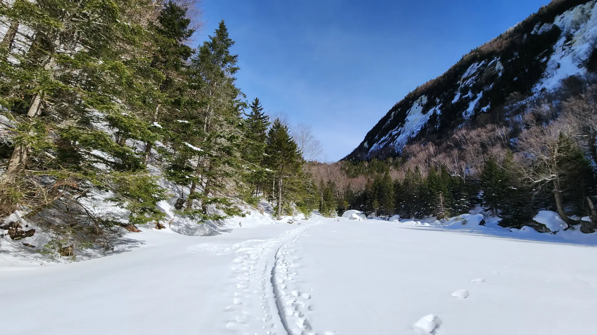 Path through snow on open ground between two treed cliffs