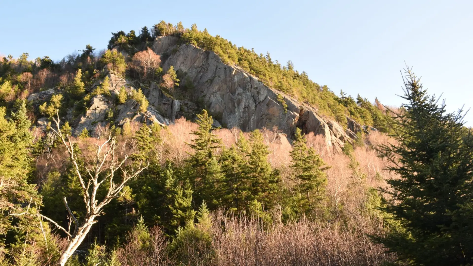 Spectacular cliffs rise from the forest along Old Mountain Road.