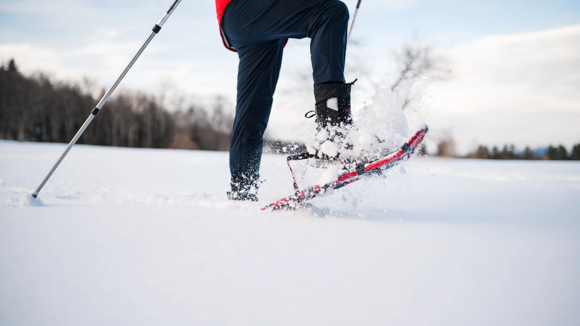A snowshoer walking through the snow.