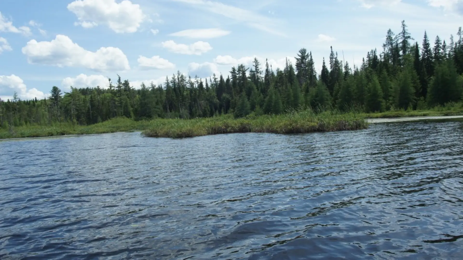 Jones Pond