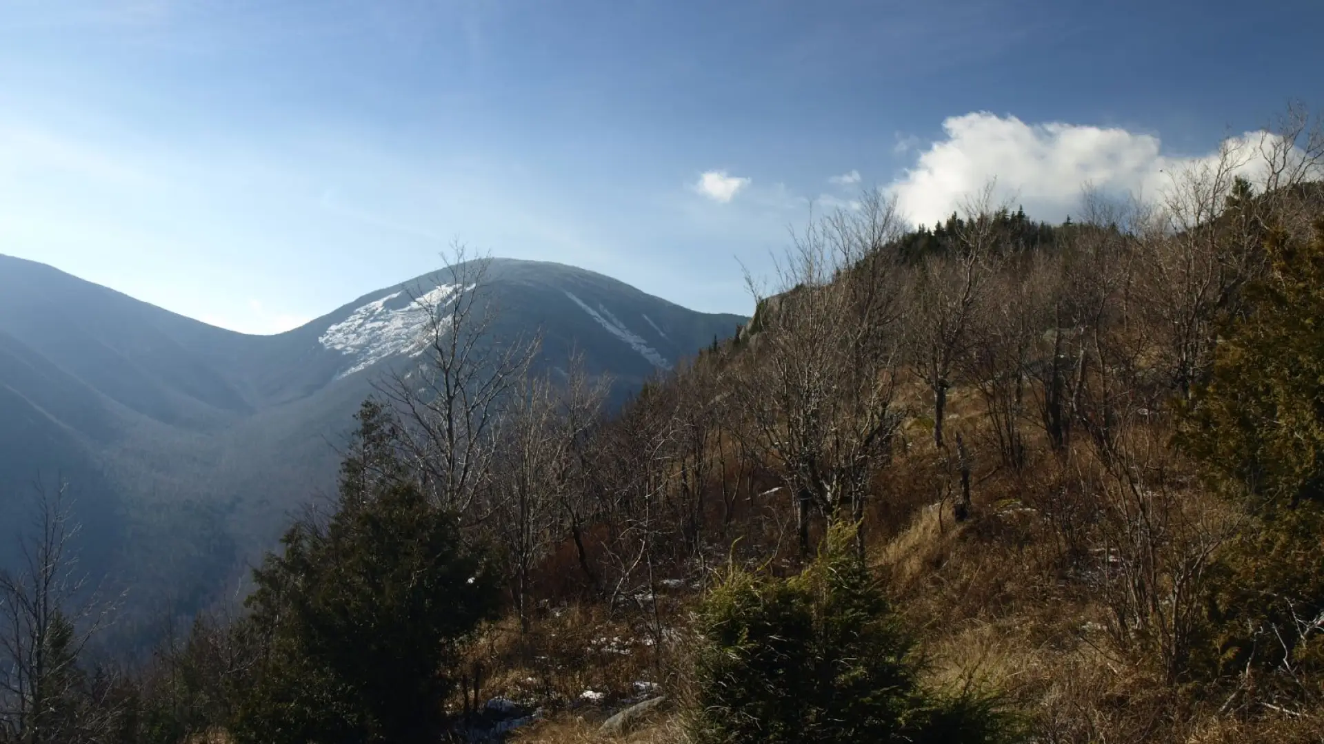 View along the open ridge