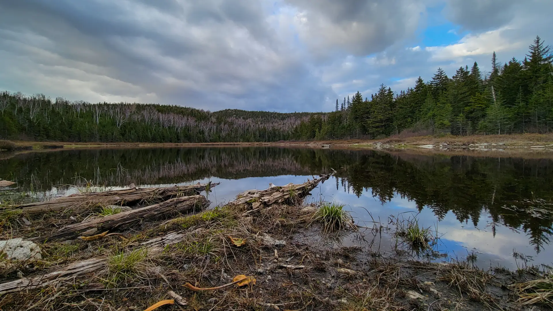 A pond reflecting surrounding trees and mountains