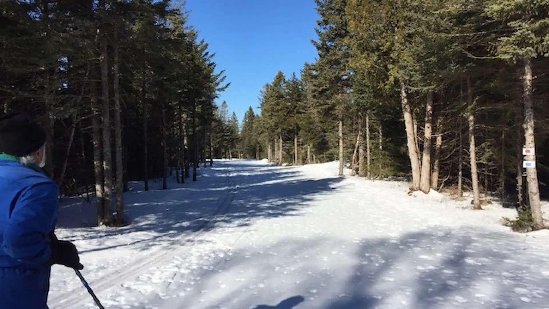 Groomed trails and signage but a much quieter, slower, more contemplative snow experience.