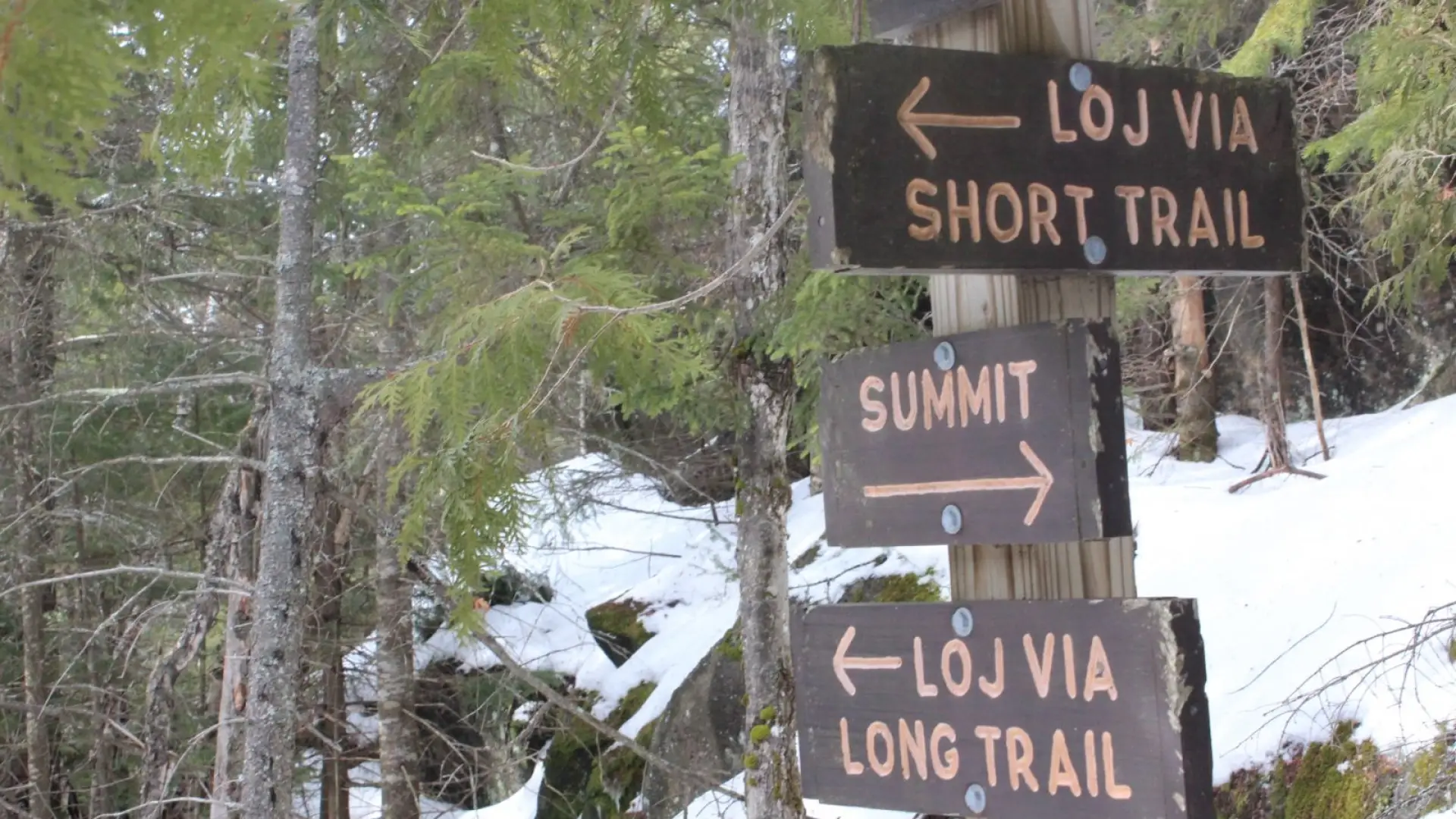 Signs for hiking trails in upstate NY with pine trees and snow in the background