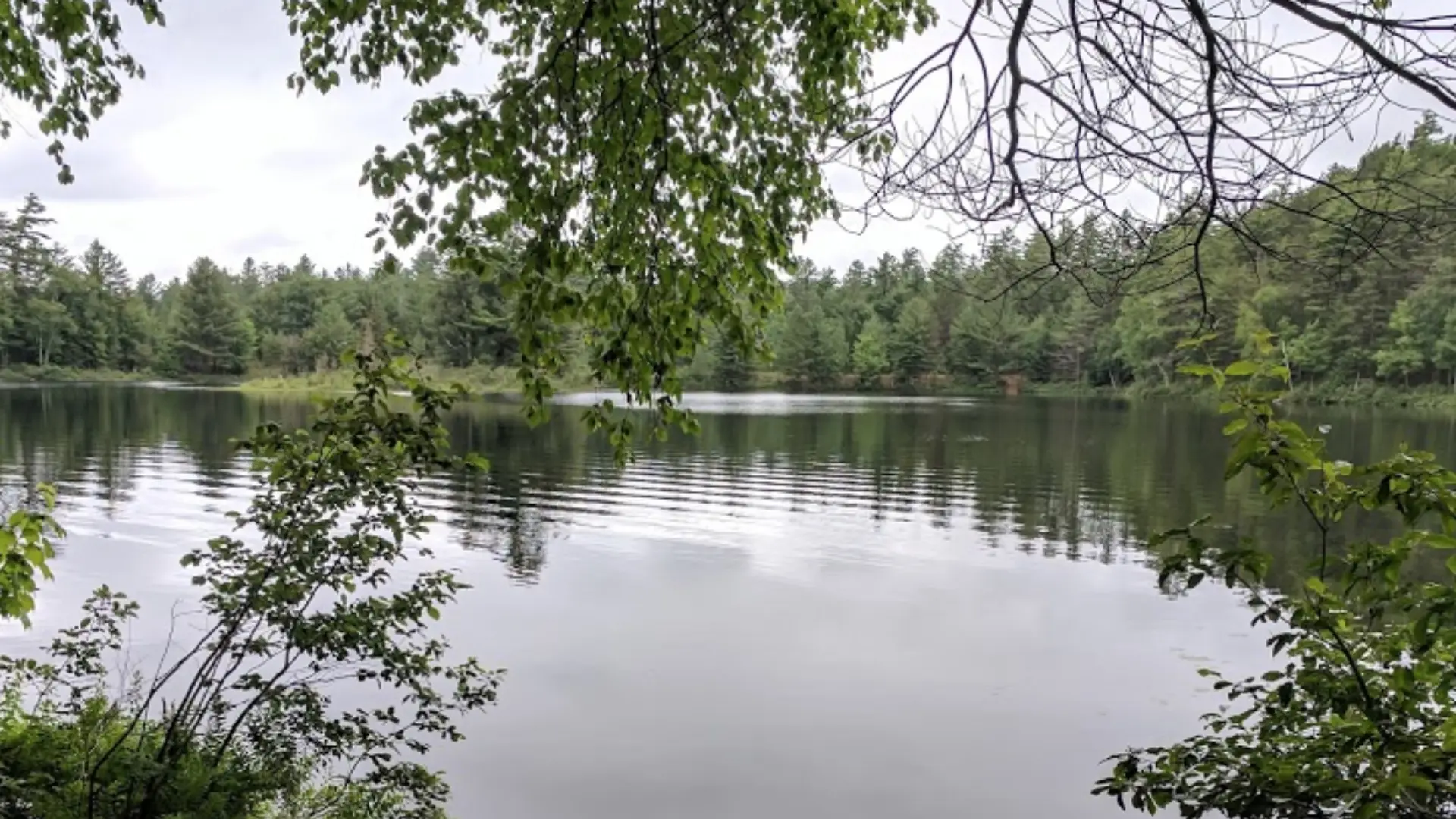 Use the boat launch, and more, for a small day use fee.