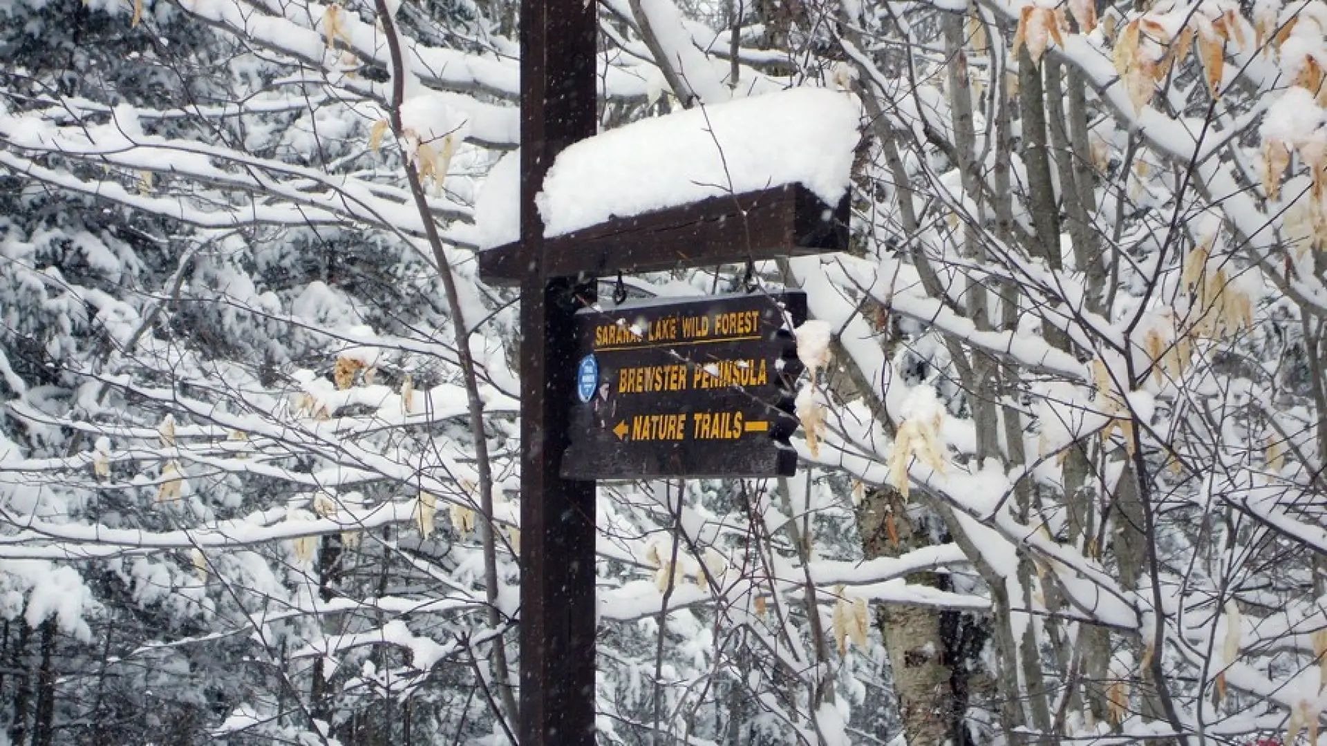 All trails are posted and often, broken out in the winter.
