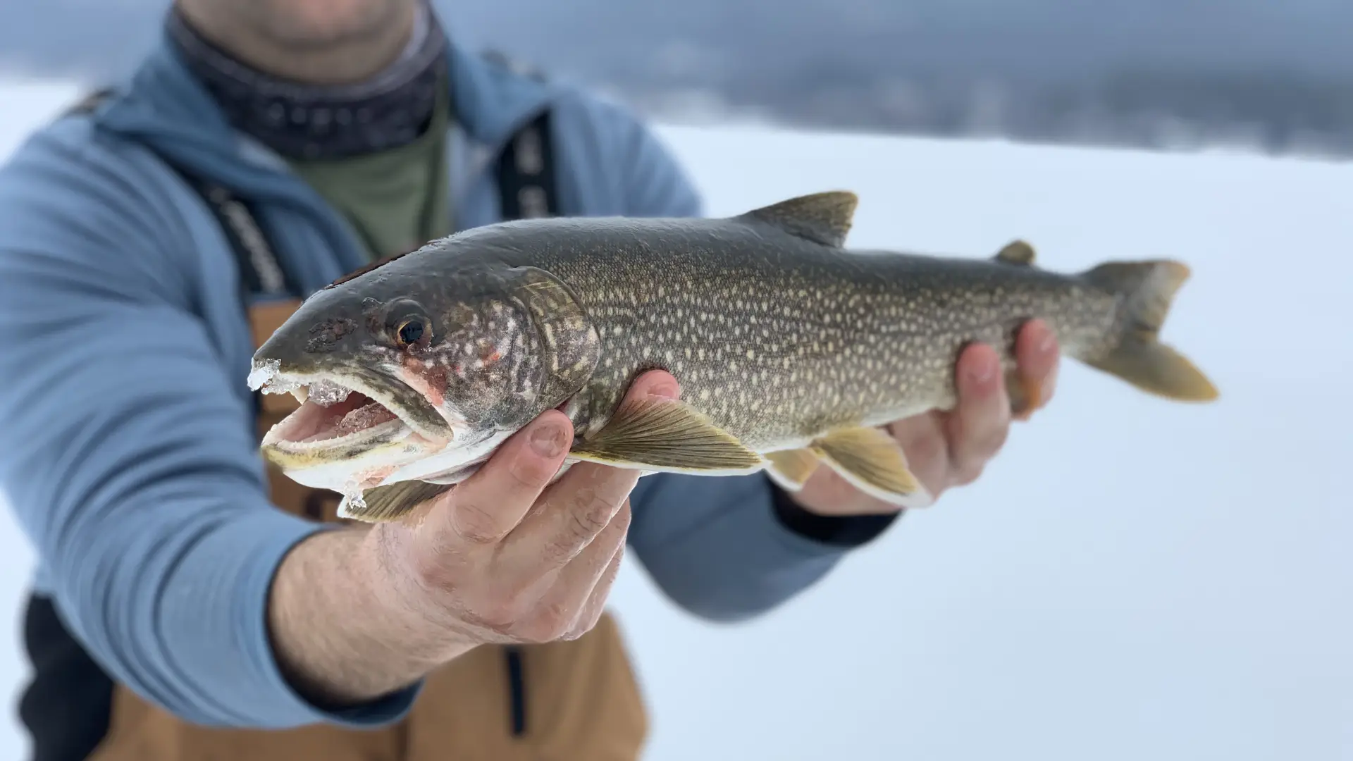 Person holding large fish.