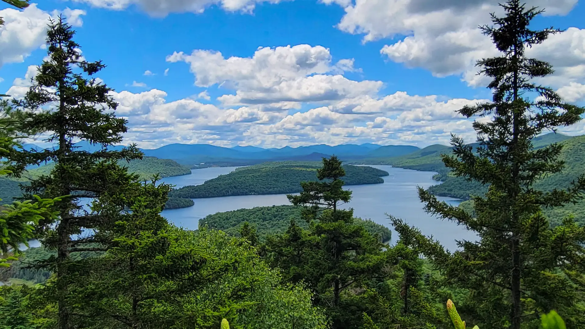 A view of a lake through the trees