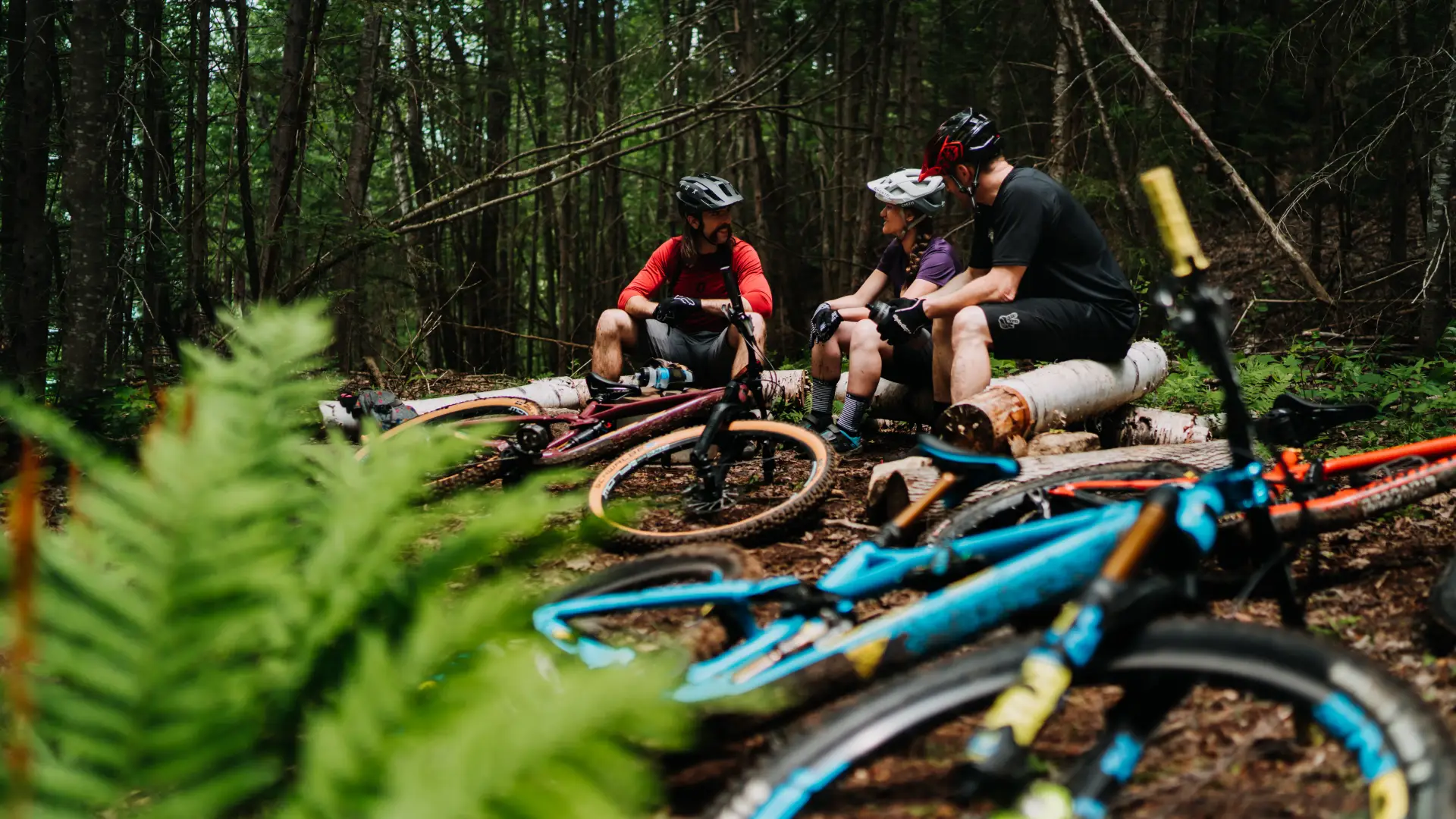 A group of mountain bikers resting