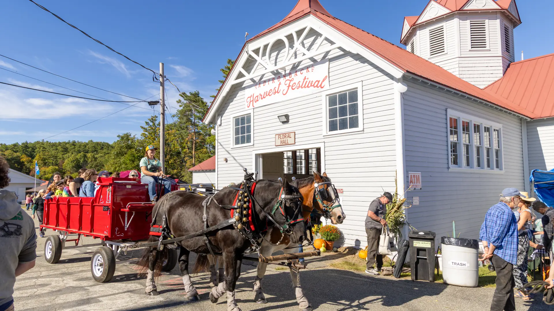 horse drawn carriage